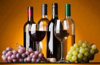 /album/foto-santadi-is-zuddas-costa-del-sud/a0002-vino-jpg/